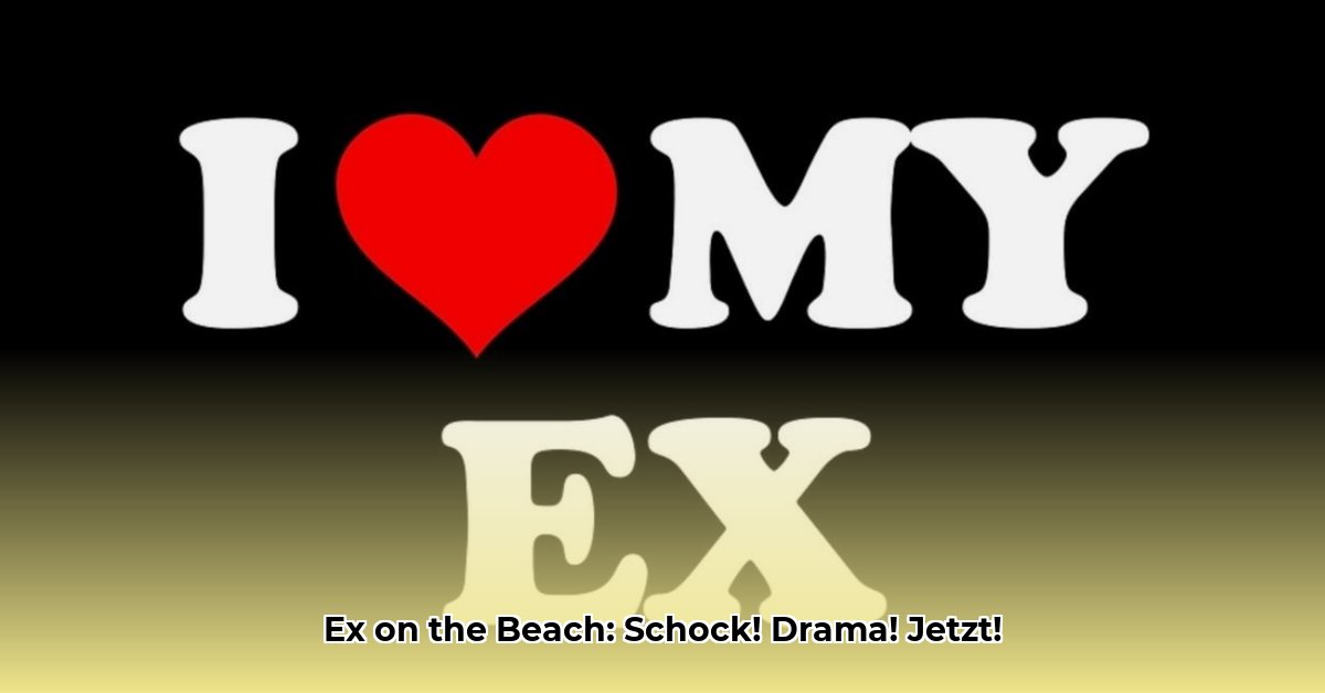 ex-on-the-beach-das-wiedersehen
